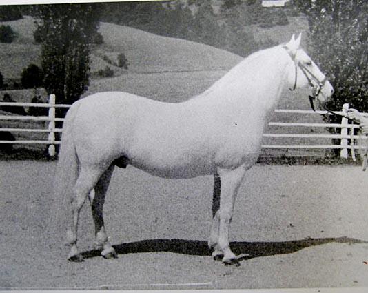257 Conversano VII Valdamora