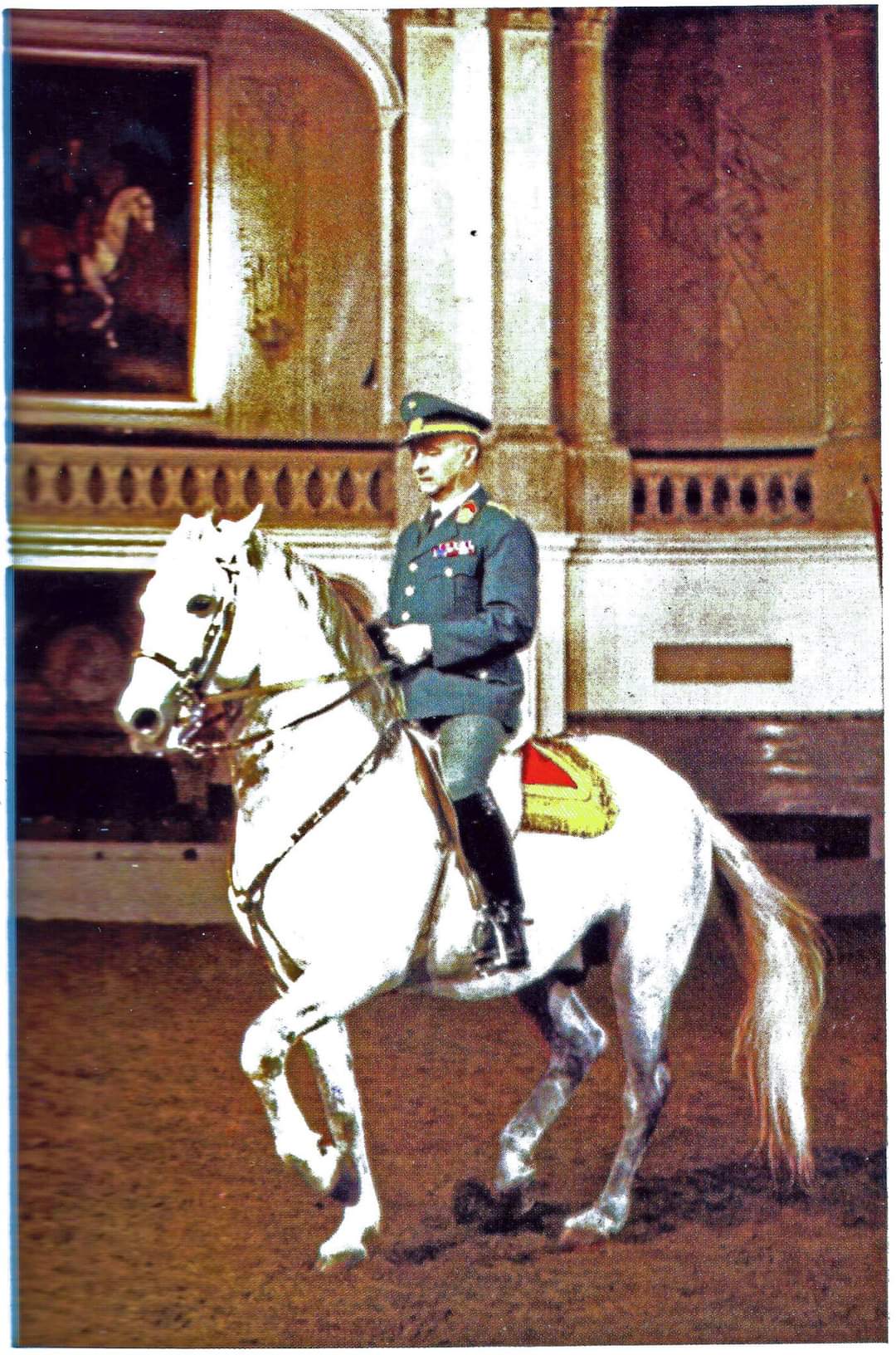 356 Neapolitano Navarra