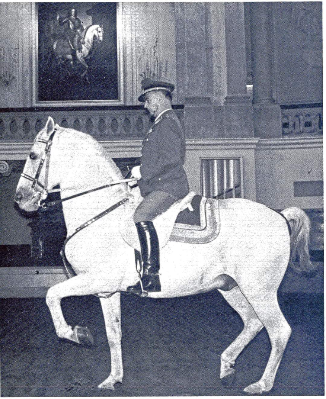 356 Neapolitano Navarra