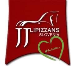 Jana Jašović Memon