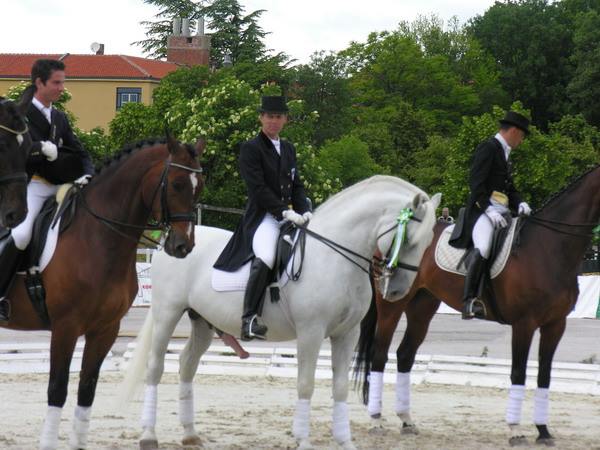 085 Favory Canissa XXII