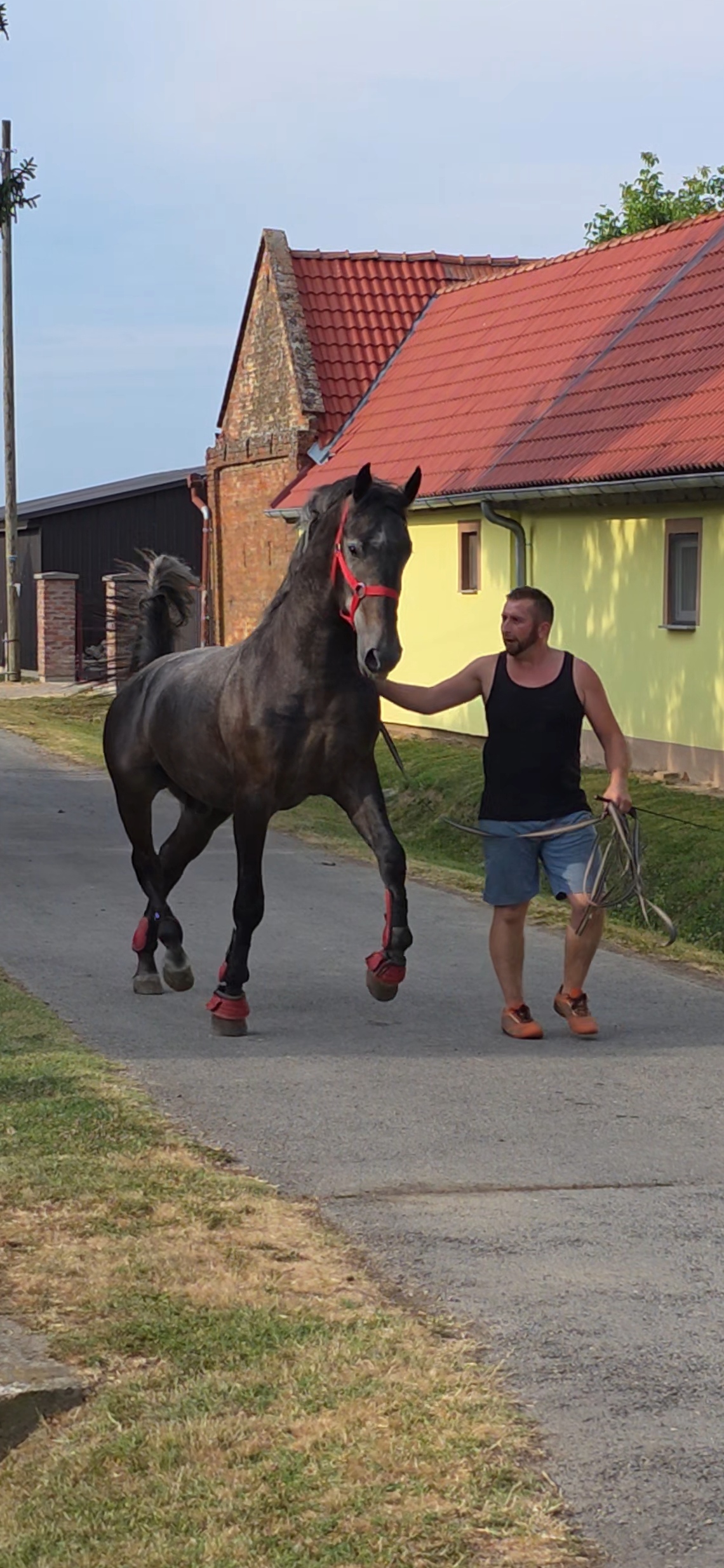 610 Conversano Trofetta XVIII-3