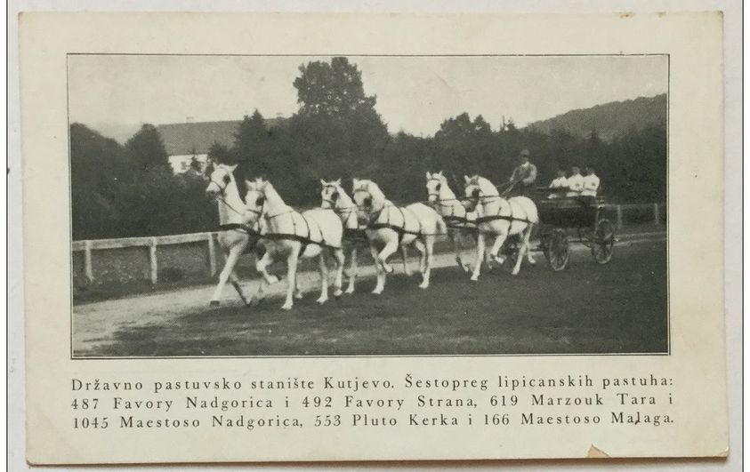 1045 Maestoso Nadgorica