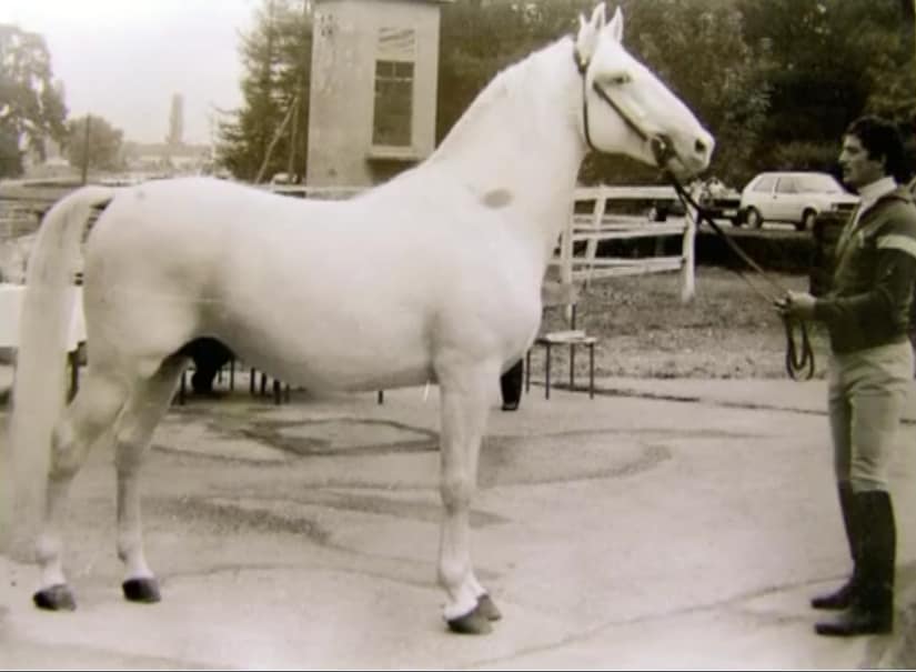 10 Conversano Gaetana XVI