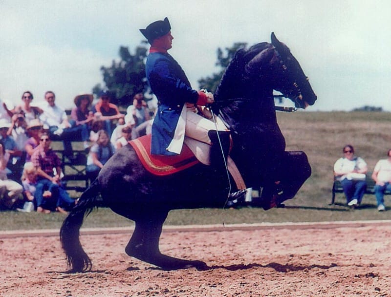 118 Siglavy III Roxana