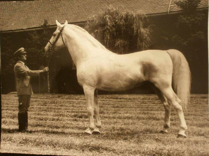 145 Conversano Trofetta III-4