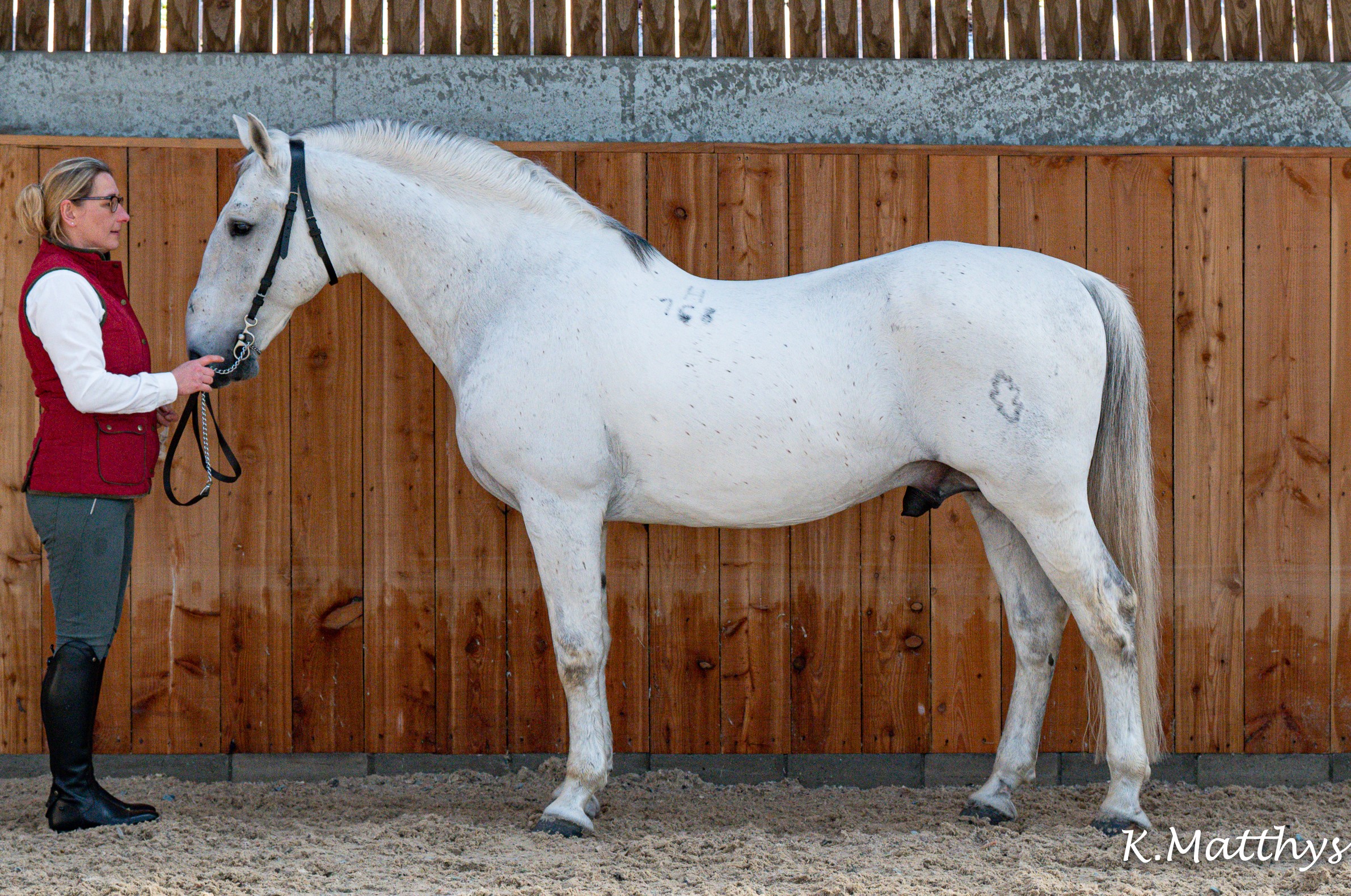 168 Pluto Batosta VIII-1