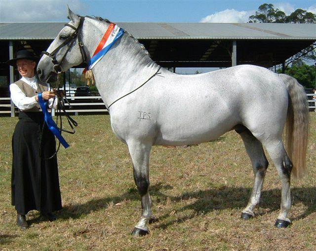 201-166 Pluto Linda I