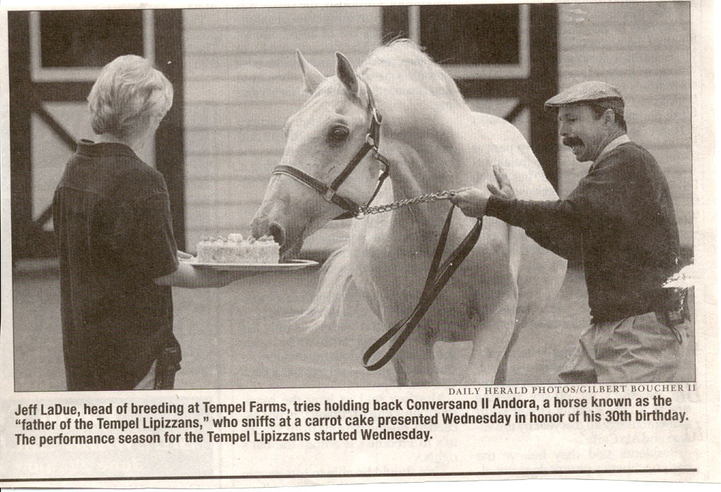 215 Conversano II Andora