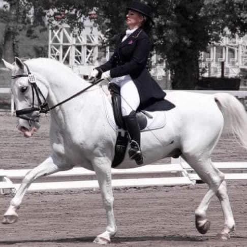 218 Conversano Allegra XLI