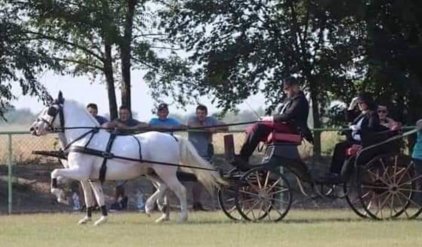 22 Conversano Wera II