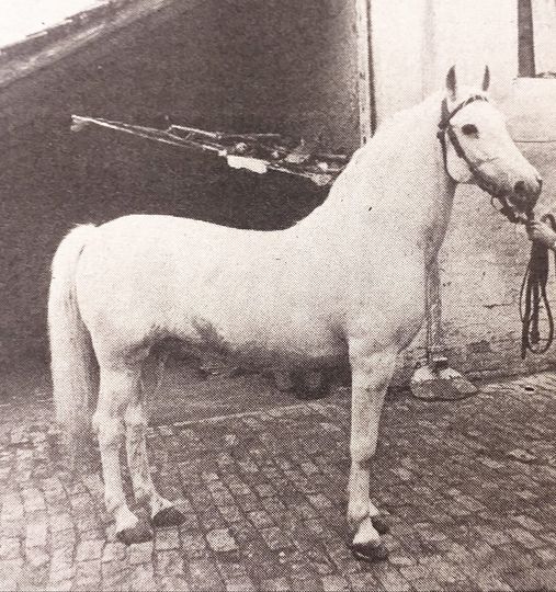 2449 Favory Duklja III