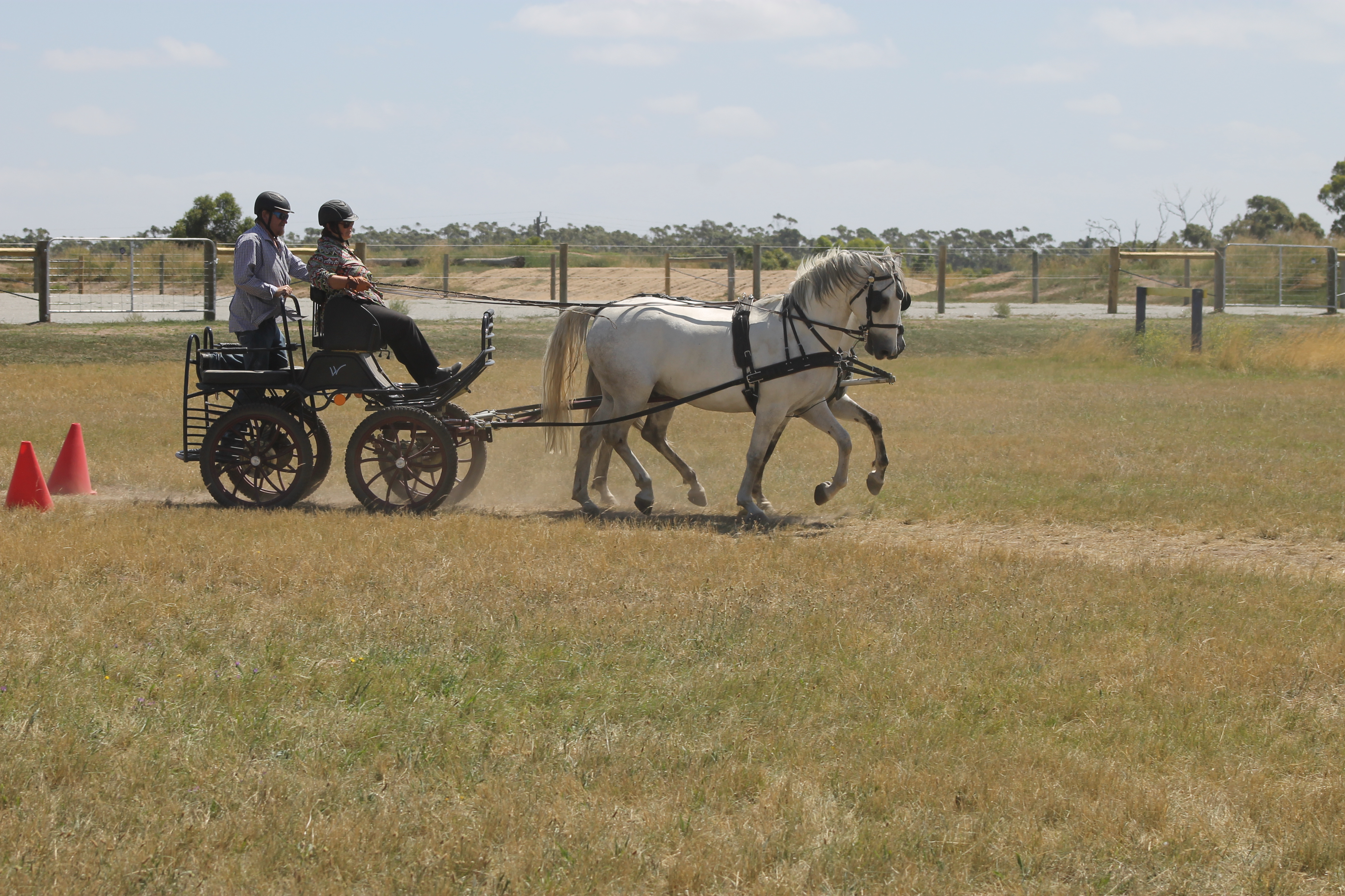 292 Conversano Grace III