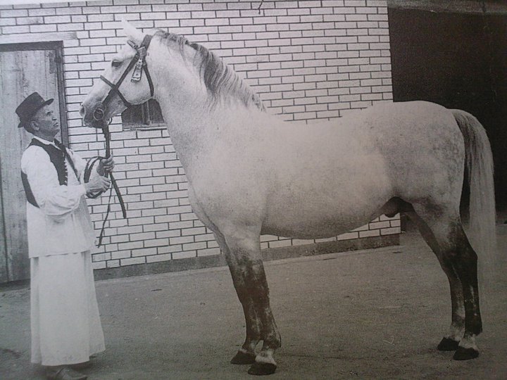 298 Conversano Santa XXXV-4