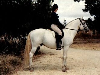 2 Neapolitano Trompeta I