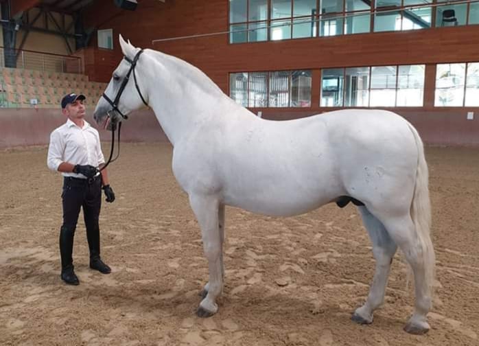 30 Conversano Santa XLVII-6