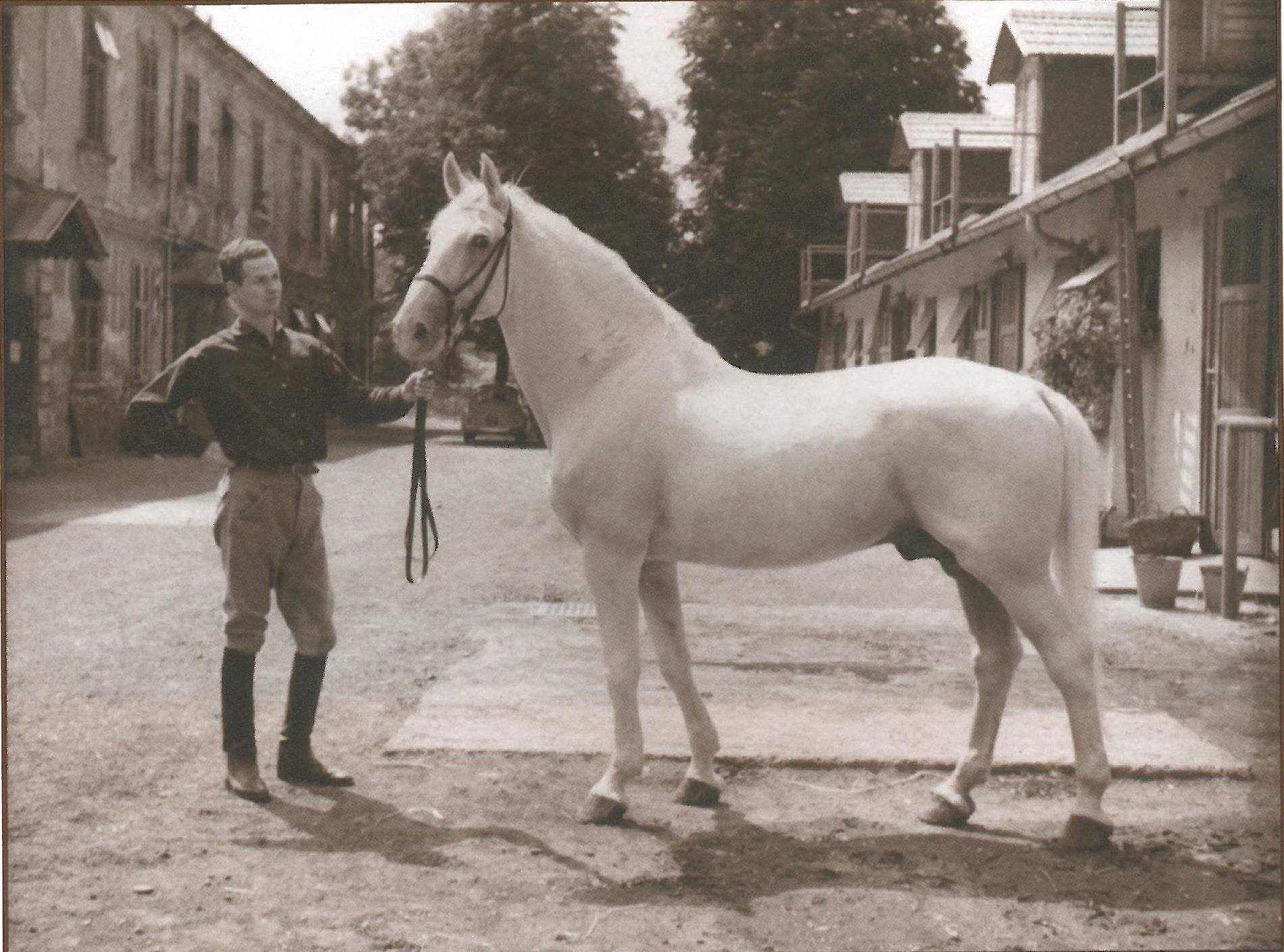 3160 Neapolitano XIII-8-10 Alnok