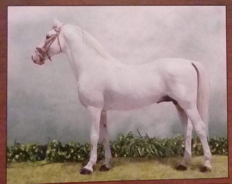 3622-827 Pluto XIV-35