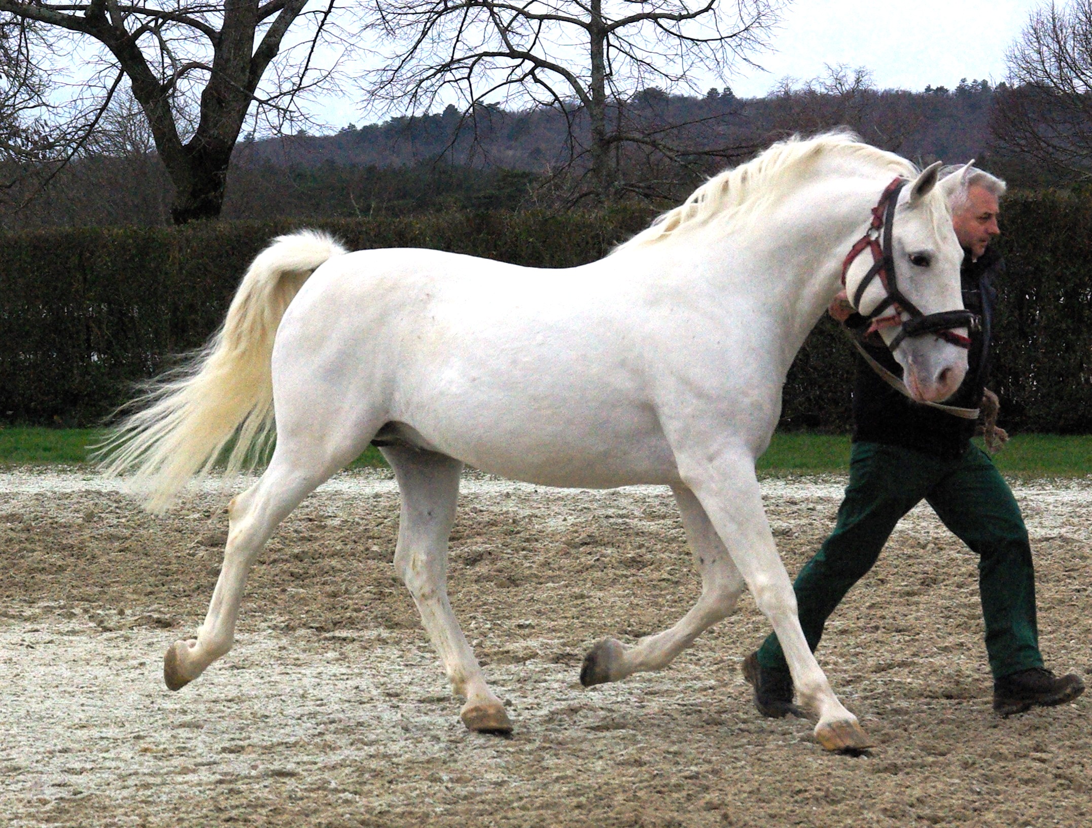 397 Pluto Betalka XXIV