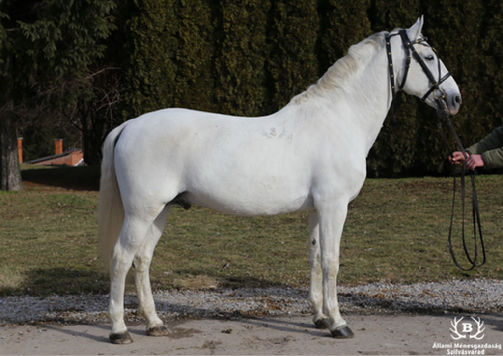 4182 Favory XXVII-11 (XXX. tm)