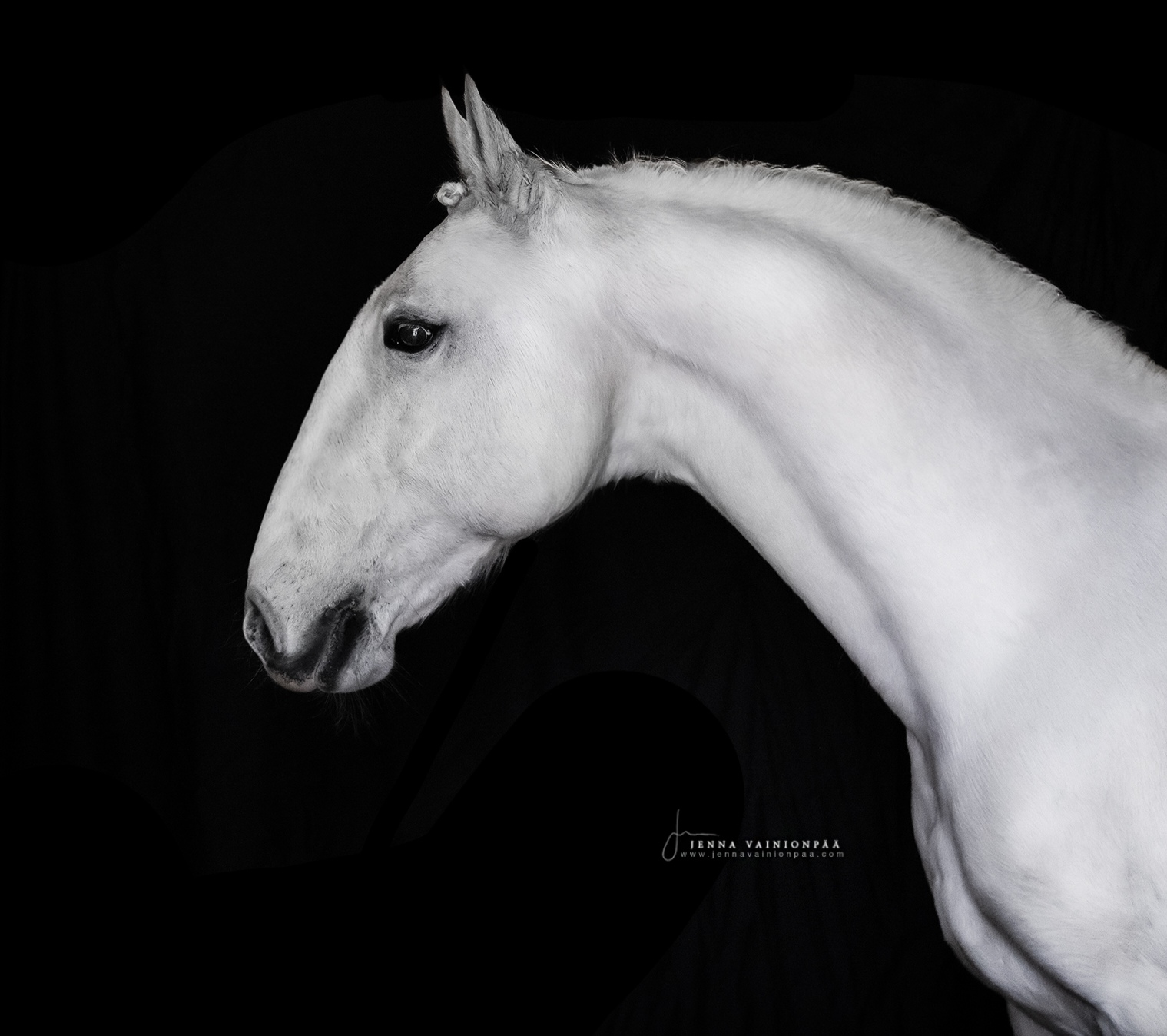 418 Neapolitano Neretva XXII-1