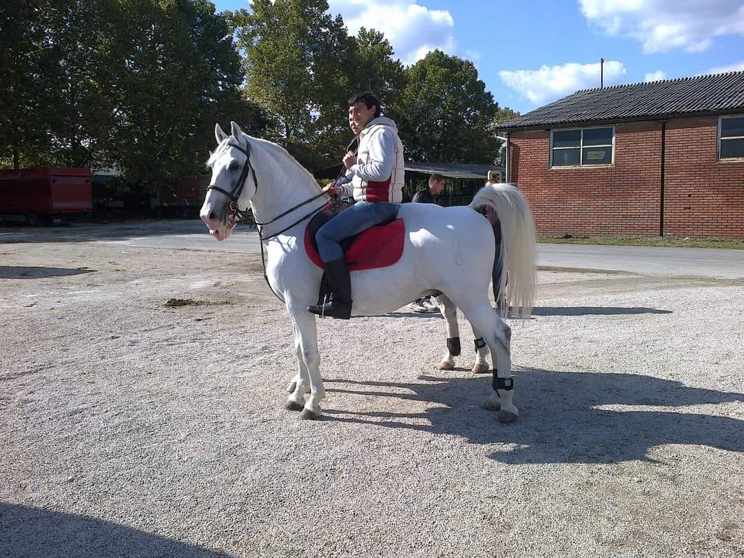 436 Conversano Zenta IX-2