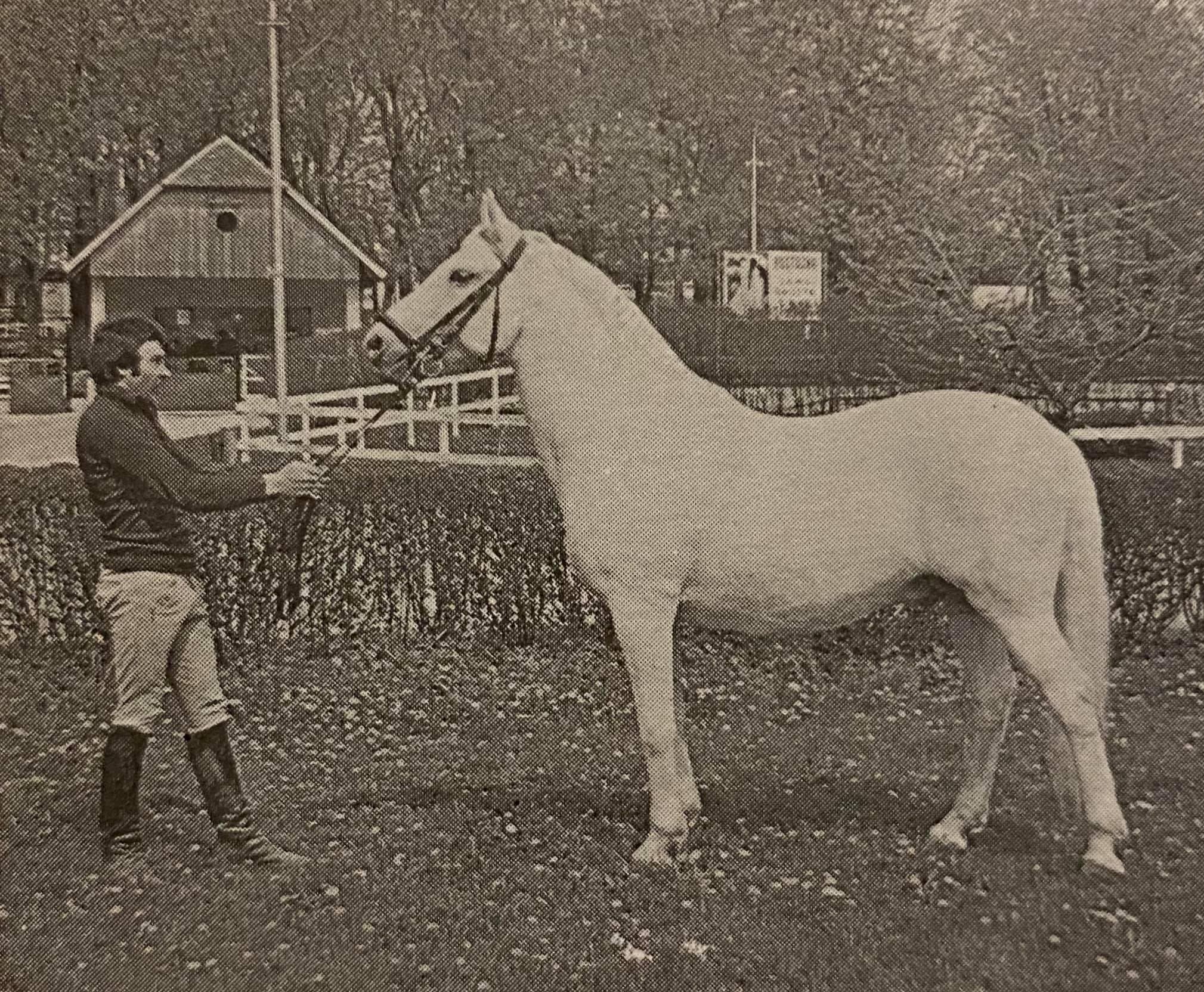 496 Pluto Dubovina VI