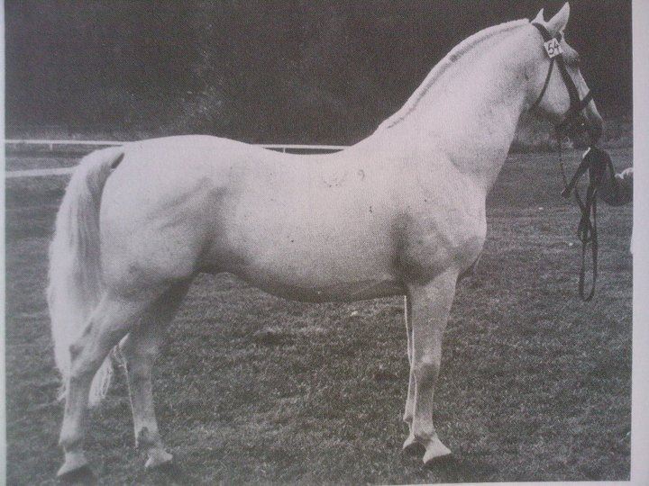 506 Pluto XXVI-4 (XXX. tm)