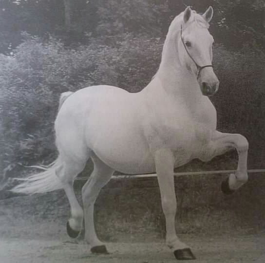 506 Pluto XXVI-4 (XXX. tm)