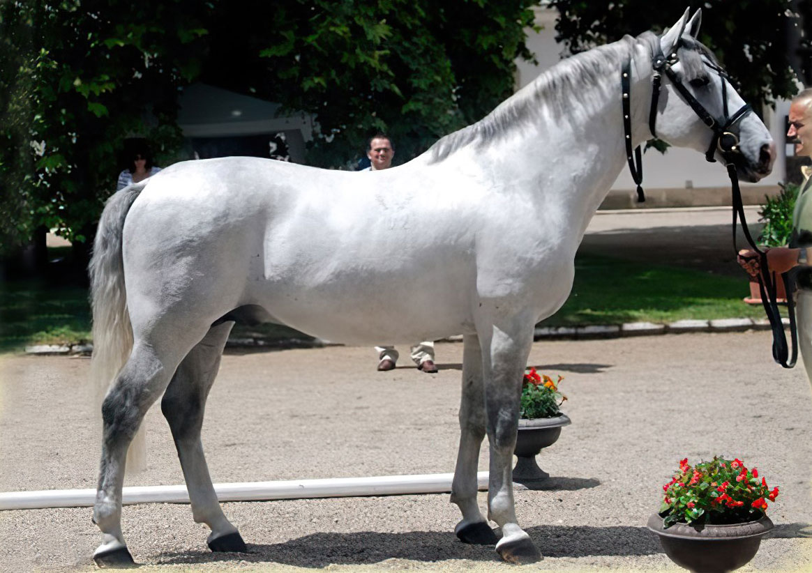 5159 Pluto Jankó 182