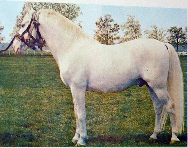 5314 Favory XX-7 (F. XXII)