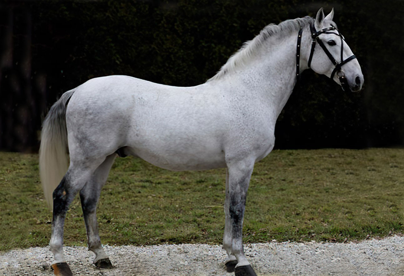 5670 Favory XXVIII-26 (XXIX. tm)