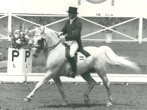 580 Maestoso Monteaura