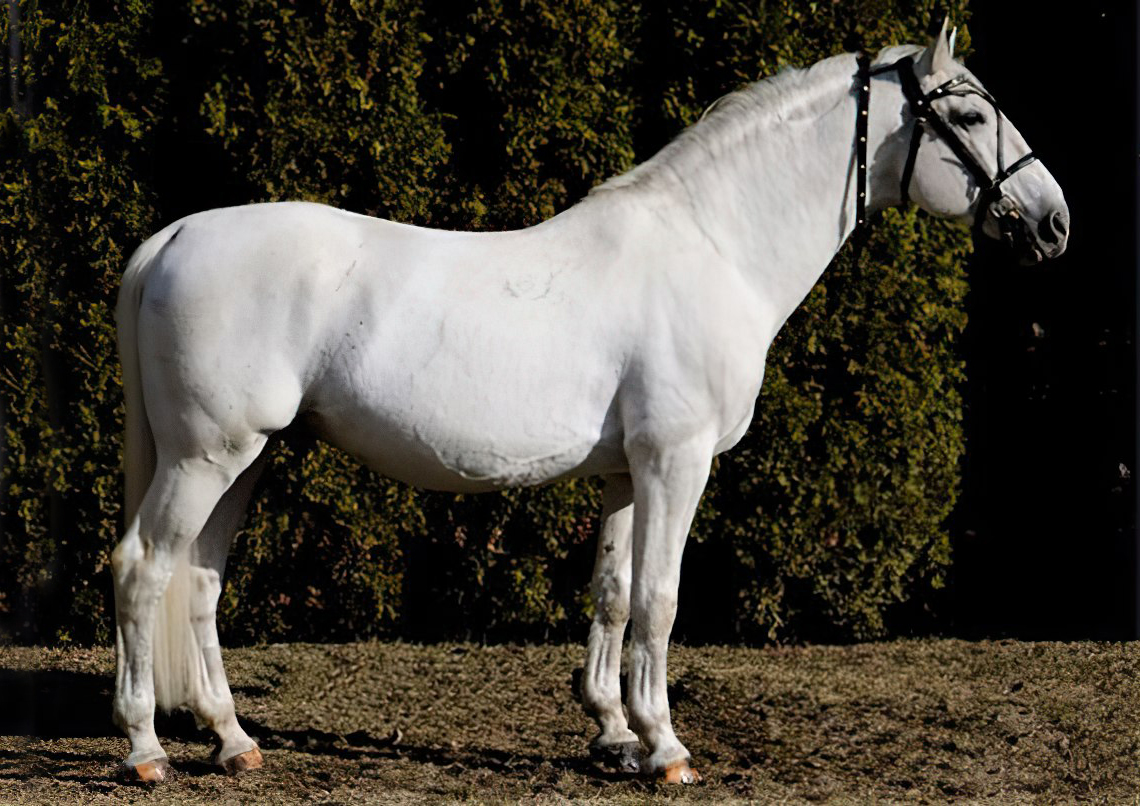 5846 Pluto XXXII-10 (XXXV. tm)