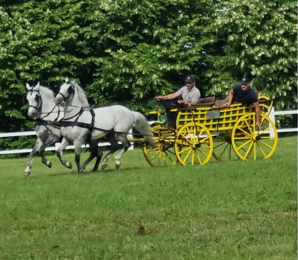 628 Conversano Trofetta XIV-1