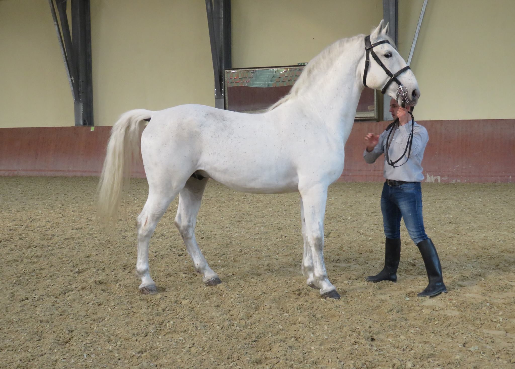 779 Favory Mara LIV-2