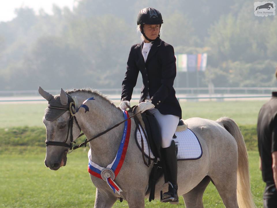 799 Maestoso Trofetta VI