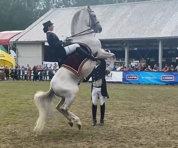 809 Maestoso Betalka XXXIX