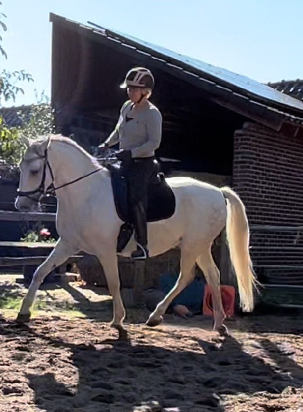 841 Maestoso Betalka XXXIX