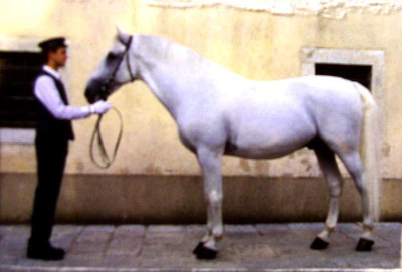 898 Pluto Steaka XVI (4506 P. XXXIII)