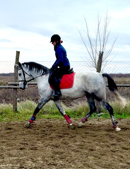 Basovizza (S. XVI-3)