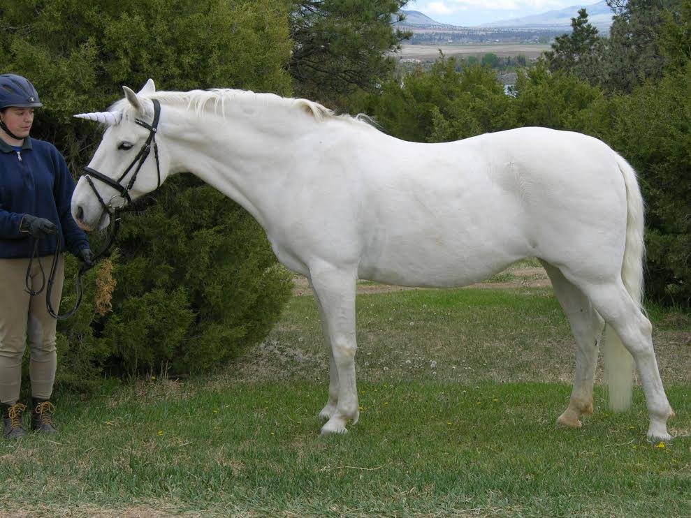 Conversano Natasha II-I