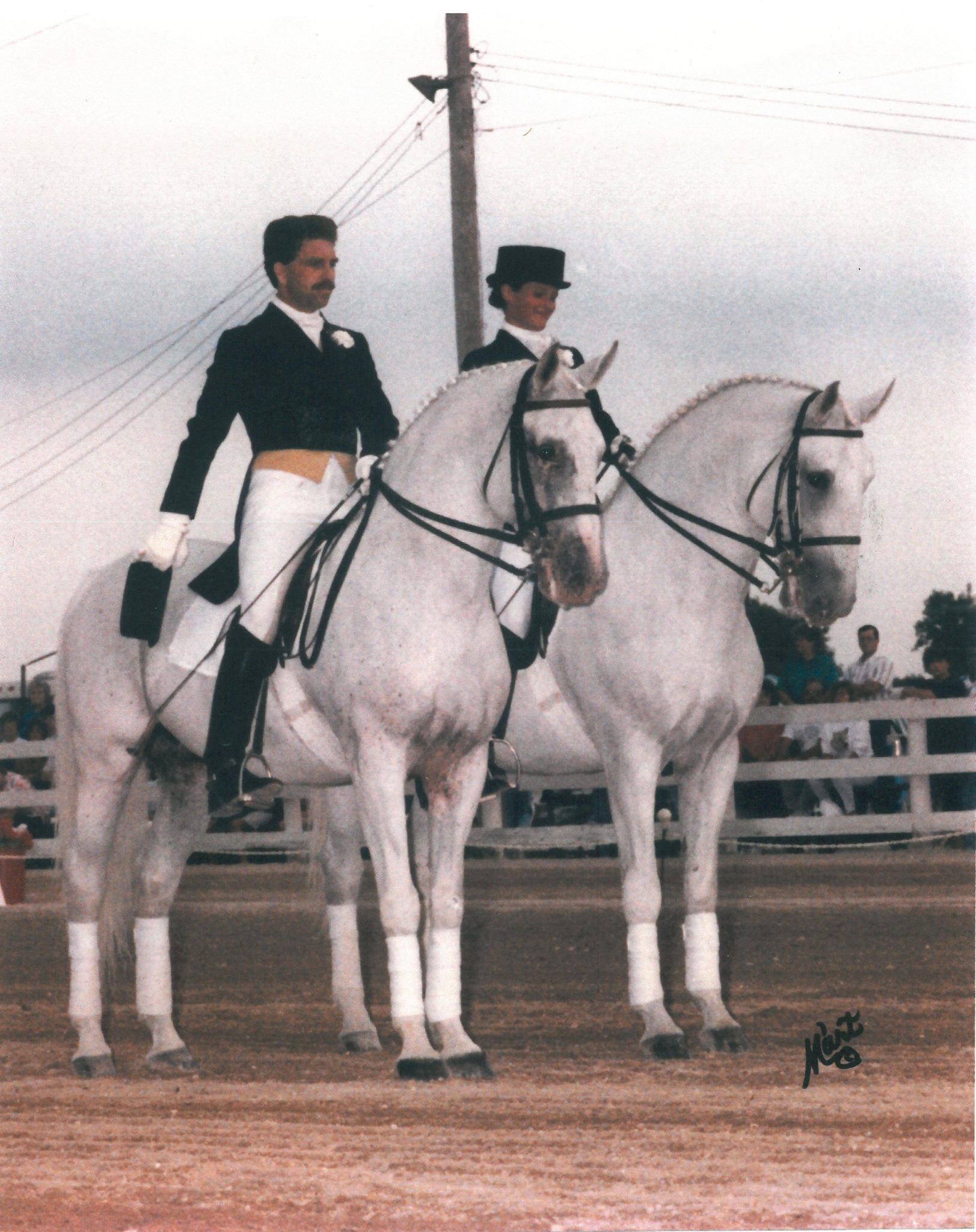 480 Conversano II Sarissa