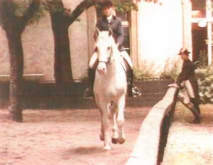 Conversano Tropina-78