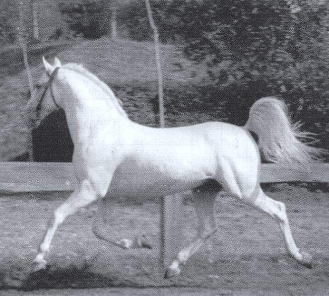 287-569 Conversano II Olga I