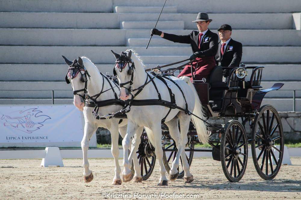 639 Conversano Capra IV