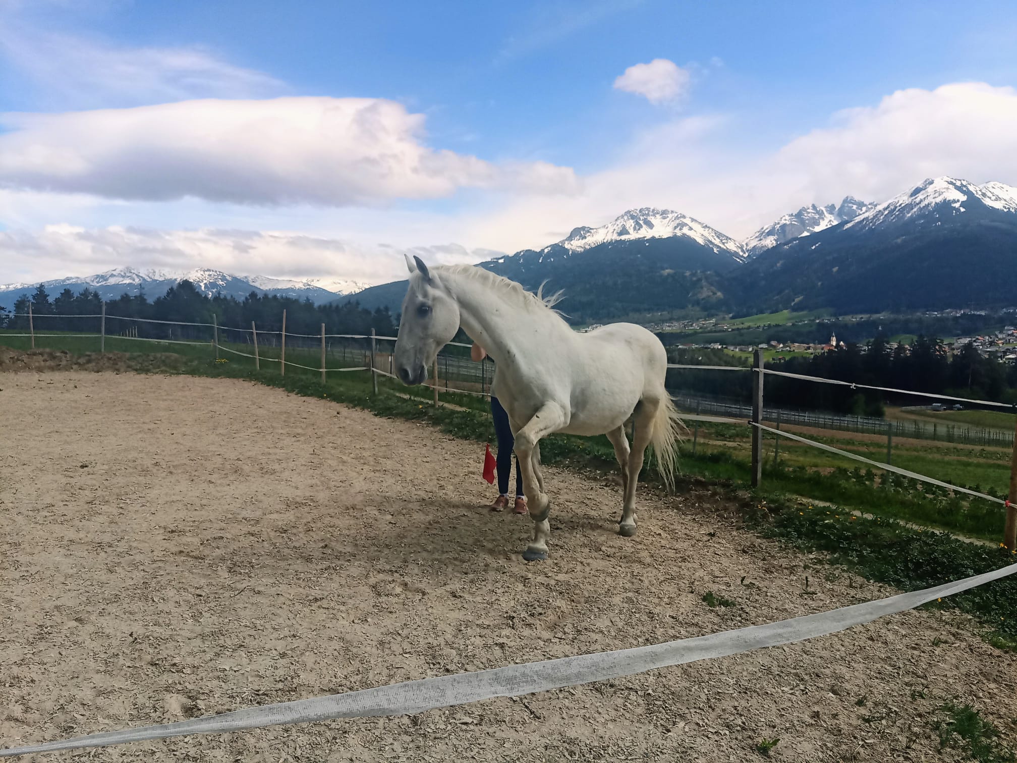 Conversano Canissa 56/2