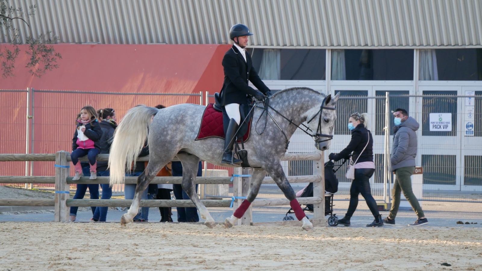 Imperial Maestoso Odina