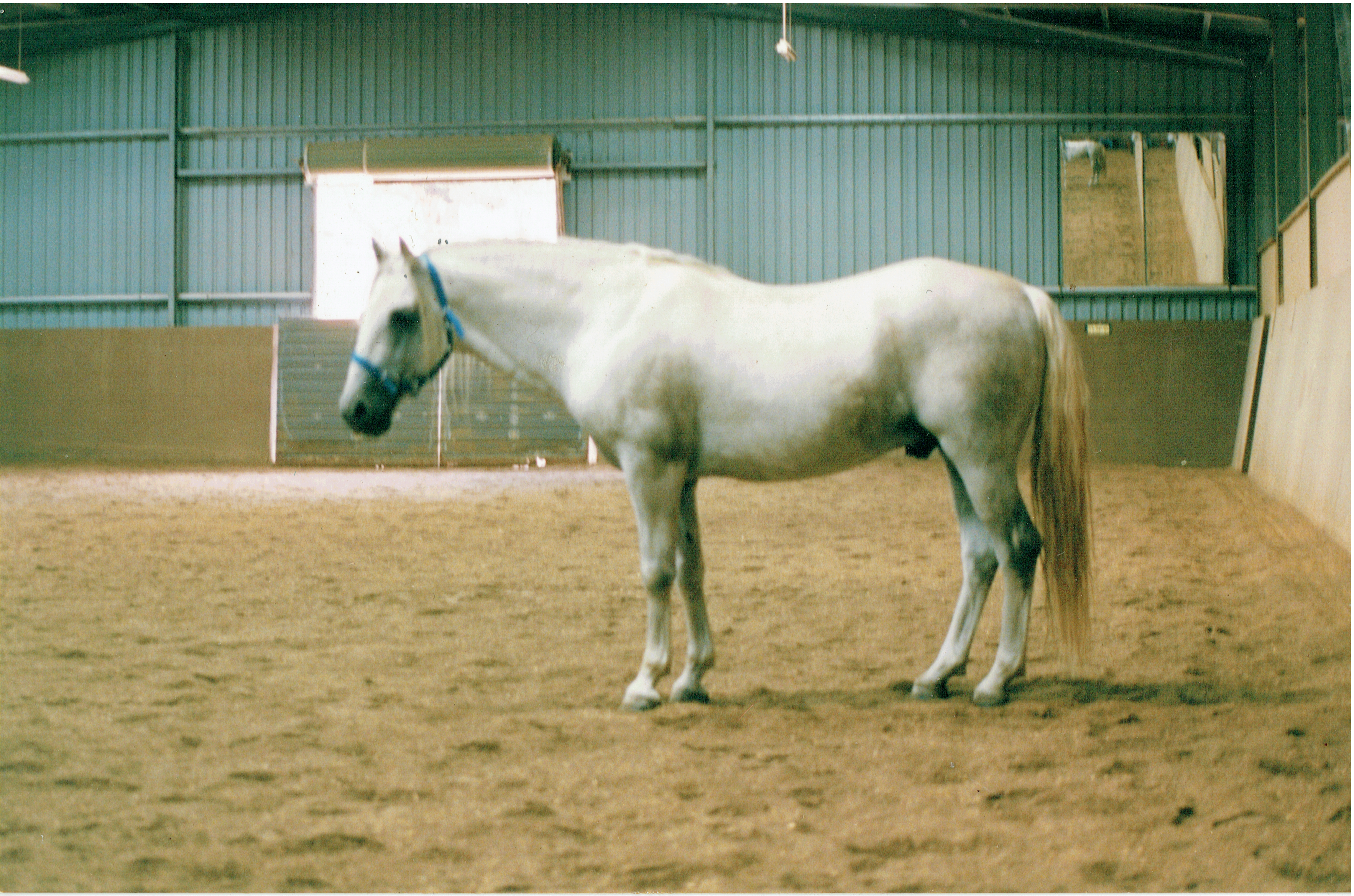 24 Favory Monteaura II