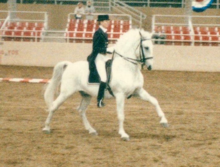 Maestoso Calcedona III